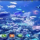 Кроме живых обоев на Андроид Luminous jellyfish HD, скачайте бесплатный apk заставки Aquarium HD 2.