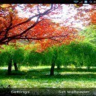 Кроме живых обоев на Андроид Panoramic screen, скачайте бесплатный apk заставки Autumn by minatodev.