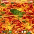 Кроме живых обоев на Андроид Spring globe, скачайте бесплатный apk заставки Autumn Leaves.