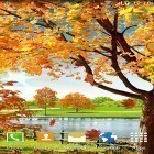 Кроме живых обоев на Андроид Night sakura, скачайте бесплатный apk заставки Autumn pond.