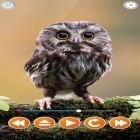 Кроме живых обоев на Андроид Black by Cute Live Wallpapers And Backgrounds, скачайте бесплатный apk заставки Bird sounds.