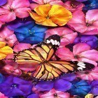 Кроме живых обоев на Андроид Spring flowers 3D, скачайте бесплатный apk заставки Butterfly by HQ Awesome Live Wallpaper.