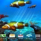 Кроме живых обоев на Андроид New Engine, скачайте бесплатный apk заставки Clownfish aquarium 3D.