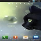 Кроме живых обоев на Андроид Art alive 3D pro, скачайте бесплатный apk заставки Curious Cat.