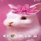 Кроме живых обоев на Андроид Lotus by villeHugh, скачайте бесплатный apk заставки Cute animals by MISVI Apps for Your Phone.