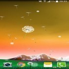 Кроме живых обоев на Андроид Twilight mirror, скачайте бесплатный apk заставки Dandelion by Crown Apps.