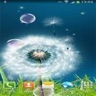 Кроме живых обоев на Андроид Night sakura, скачайте бесплатный apk заставки Dandelions by Amax LWPS.