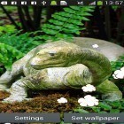 Кроме живых обоев на Андроид Analog clock 3D, скачайте бесплатный apk заставки Dinosaur by Latest Live Wallpapers.