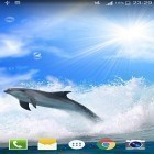 Кроме живых обоев на Андроид Skull island 3D, скачайте бесплатный apk заставки Dolphin by Live wallpaper HD.