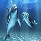 Кроме живых обоев на Андроид Snow HD deluxe edition, скачайте бесплатный apk заставки Dolphins 3D by Mosoyo.