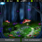 Кроме живых обоев на Андроид Midnight ocean, скачайте бесплатный apk заставки Fantasy magic touch.