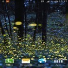 Кроме живых обоев на Андроид Lotus, скачайте бесплатный apk заставки Fireflies by Phoenix Live Wallpapers.