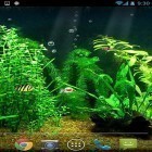 Кроме живых обоев на Андроид Epic Lava Cave, скачайте бесплатный apk заставки Fishbowl HD.