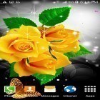Кроме живых обоев на Андроид Ganesha HD, скачайте бесплатный apk заставки Flowers by villeHugh.