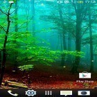 Кроме живых обоев на Андроид Space HD, скачайте бесплатный apk заставки Forest by Wallpapers and Backgrounds Live.