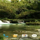 Кроме живых обоев на Андроид Celtic garden HD, скачайте бесплатный apk заставки Forest stream.