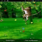 Кроме живых обоев на Андроид Sunflower clock, скачайте бесплатный apk заставки Funny monkey by Galaxy Launcher.