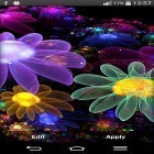 Кроме живых обоев на Андроид Fly color, скачайте бесплатный apk заставки Glowing flowers by My Live Wallpaper.