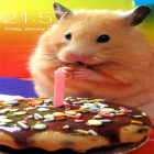 Кроме живых обоев на Андроид Fantasy by Dream World HD Live Wallpapers, скачайте бесплатный apk заставки Hamster.