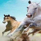 Кроме живых обоев на Андроид Siberian husky, скачайте бесплатный apk заставки Horse by Happy live wallpapers.