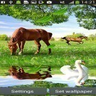 Скачайте Horses by Latest Live Wallpapers на Андроид, а также другие бесплатные живые обои для LG Nexus 4 E960.