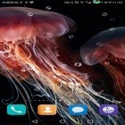 Кроме живых обоев на Андроид Abstract flower, скачайте бесплатный apk заставки Jellyfish by live wallpaper HongKong.
