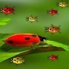 Кроме живых обоев на Андроид The blue lagoon, скачайте бесплатный apk заставки Ladybugs by 3D HD Moving Live Wallpapers Magic Touch Clocks.