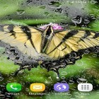 Кроме живых обоев на Андроид Blue sky, скачайте бесплатный apk заставки Macro butterflies.