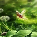Кроме живых обоев на Андроид Firefly by orchid, скачайте бесплатный apk заставки Magic by Art LWP.