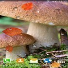 Кроме живых обоев на Андроид Digital Flux, скачайте бесплатный apk заставки Mushrooms by BlackBird Wallpapers.