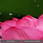 Кроме живых обоев на Андроид Raindrop, скачайте бесплатный apk заставки Nature by Top Live Wallpapers.
