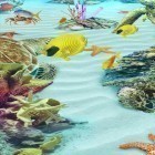 Кроме живых обоев на Андроид Alien spider 3D, скачайте бесплатный apk заставки Ocean Aquarium 3D: Turtle Isles.