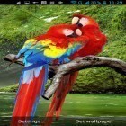 Кроме живых обоев на Андроид Real rain, скачайте бесплатный apk заставки Parrot.