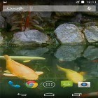 Кроме живых обоев на Андроид Ocean waves by Keyboard and HD Live Wallpapers, скачайте бесплатный apk заставки Pond with koi by Karaso.