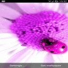 Кроме живых обоев на Андроид Lilac flowers, скачайте бесплатный apk заставки Pretty pink.