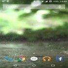 Кроме живых обоев на Андроид Starry background, скачайте бесплатный apk заставки Real rain.