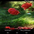 Кроме живых обоев на Андроид Celtic garden HD, скачайте бесплатный apk заставки Red rose by DynamicArt Creator.