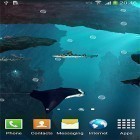 Кроме живых обоев на Андроид Bunnies, скачайте бесплатный apk заставки Sharks 3D by BlackBird Wallpapers.