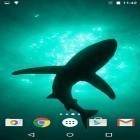 Кроме живых обоев на Андроид Mystic night live wallpaper, скачайте бесплатный apk заставки Sharks by Fun Live Wallpapers.