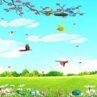 Кроме живых обоев на Андроид Power of life, скачайте бесплатный apk заставки Sky birds.