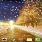 Кроме живых обоев на Андроид Summer rain: Flowers, скачайте бесплатный apk заставки Snowy night by Live wallpaper HD.