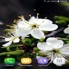 Кроме живых обоев на Андроид Nature HD, скачайте бесплатный apk заставки Springtime.