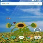 Кроме живых обоев на Андроид Deluxe bubble, скачайте бесплатный apk заставки Sunflower 3D.