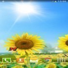 Кроме живых обоев на Андроид Fireflies droplets HD, скачайте бесплатный apk заставки Sunflowers.