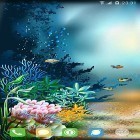 Кроме живых обоев на Андроид Metaballs liquid HD, скачайте бесплатный apk заставки Underwater world by orchid.