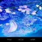 Скачайте 3D sakura magic на Андроид, а также другие бесплатные живые обои для Asus Fonepad 7 FE171CG.