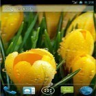 Скачайте Amazing spring flowers на Андроид, а также другие бесплатные живые обои для HTC Desire X.