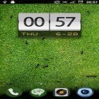 Кроме живых обоев на Андроид Flower clock by Thalia Spiele und Anwendungen, скачайте бесплатный apk заставки Ants.