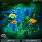 Кроме живых обоев на Андроид Gold theme for Samsung Galaxy S8 Plus, скачайте бесплатный apk заставки Aquarium 3D by Pups apps.