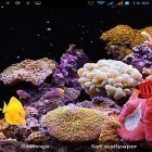 Кроме живых обоев на Андроид Ganesha HD, скачайте бесплатный apk заставки Aquarium by Best Live Wallpapers Free.